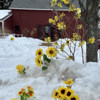 The Express Lane of Life