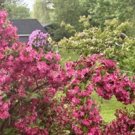 Archie Johnson: Maine Made Gourmet