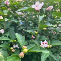 How to Get Your Sexy Back