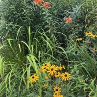 Be Considerate, I’m Begging You