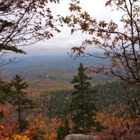 Too Busy for Common Sense